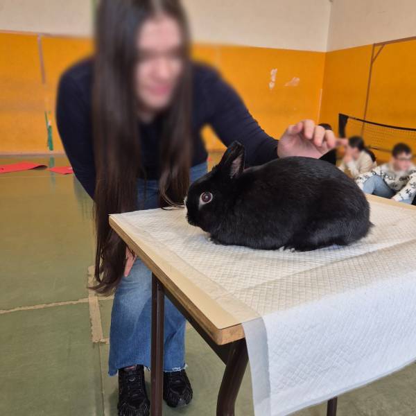 PHOTO-2026-02-23-17-47-14-10-ro2c029xjkz29phys5lol3ho5yczcej8awzave1v1s